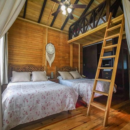 Alicat Villas Τουλούμ Εξωτερικό φωτογραφία