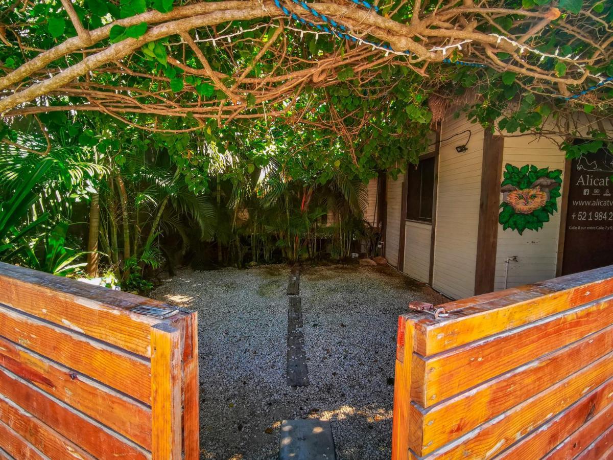 Alicat Villas Τουλούμ Εξωτερικό φωτογραφία