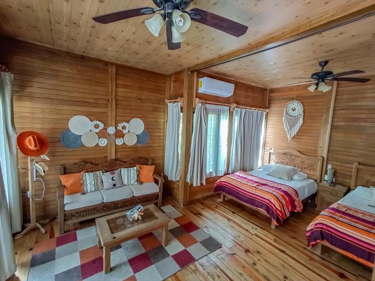 Alicat Villas Τουλούμ Εξωτερικό φωτογραφία